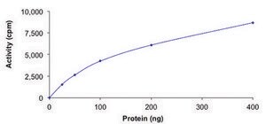 c-KIT (N822K), active, GST tagged human PRECISIO&#174;, recombinant, expressed in baculovirus infected Sf9 cells, &#8805;70% (SDS-PAGE), buffered aqueous glycerol solution