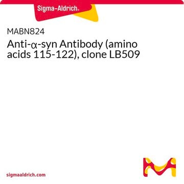 Anti-&#945;-syn Antibody (amino acids 115-122), clone LB509