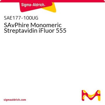 SAvPhire Monomeric Streptavidin-iFluor&#174; 555