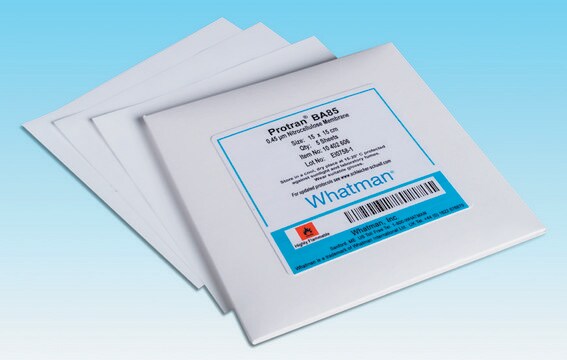 Whatman&#174; nitrocellulose membrane filters NC20 Membrane Circles, diam. 47&#160;mm, pore size 0.2&#160;&#956;m