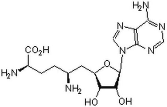 Sinefungin InSolution, &#8805;95%, antibiotic