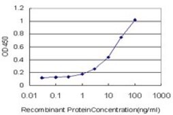 Monoclonal Anti-ADCY2 antibody produced in mouse clone 1D4, purified immunoglobulin, buffered aqueous solution