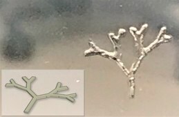 TissueFab&#174; bioink&nbsp; Alg(Gel)ma -UV/365 nm