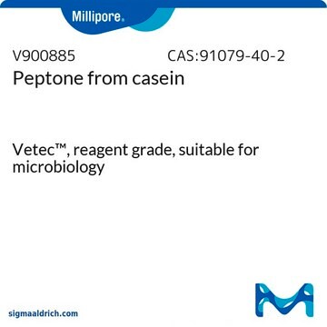 Peptone from casein Vetec&#8482;, reagent grade, suitable for microbiology