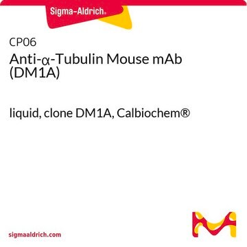 Anti-&#945;-Tubulin Mouse mAb (DM1A) liquid, clone DM1A, Calbiochem&#174;