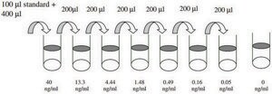 Rat MMP-8 ELISA Kit for serum, plasma, cell culture supernatant