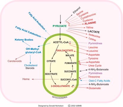 TCA Cycle Metabolite Library