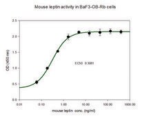 Leptin aus mouse &#8805;98% (SDS-PAGE), recombinant, expressed in E. coli, lyophilized powder