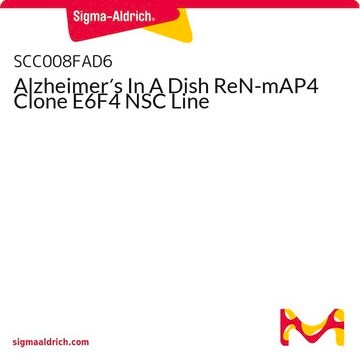 Alzheimer&#8242;s In A Dish ReN-mAP4 Clone E6F4 NSC Line