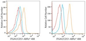 Anti-Integrin alpha V (ITGAV/CD51) Antibody, clone 10T9N2, Rabbit Monoclonal