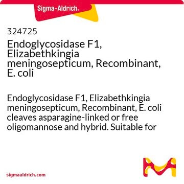 Endoglycosidase F1, Elizabethkingia meningosepticum, Recombinant, E. coli Endoglycosidase F1, Elizabethkingia meningosepticum, Recombinant, E. coli cleaves asparagine-linked or free oligomannose and hybrid. Suitable for deglycosylation of native proteins.