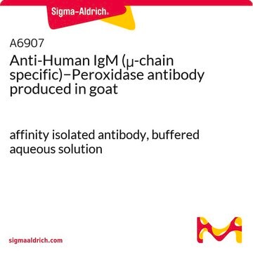 Anti-Human IgM (&#956;-chain specific)&#8722;Peroxidase antibody produced in goat affinity isolated antibody, buffered aqueous solution