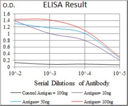 Anti-PAX3, clone 7D8G7 Antibody ascites fluid, clone 7D8G7, from mouse