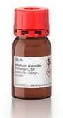 Ethidium bromide BioReagent, powder