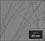Carbon nanotube, few-walled carbon &#8805;95&#160;%