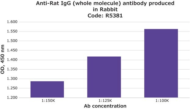 Anti-Rat IgG (whole molecule) antibody produced in rabbit whole antiserum