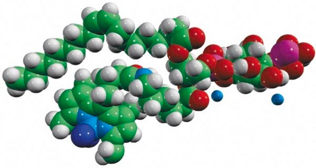 TopFluor&#8482; PI(4)P Avanti Research&#8482; - A Croda Brand 810185P, powder