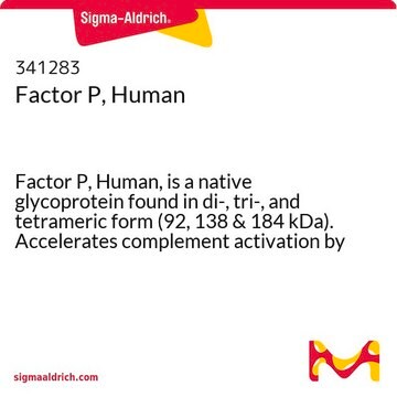 Factor P, Human Factor P, Human, is a native glycoprotein found in di-, tri-, and tetrameric form (92, 138 &amp; 184 kDa). Accelerates complement activation by binding to and stabilizing the C3 and C5 convertases.