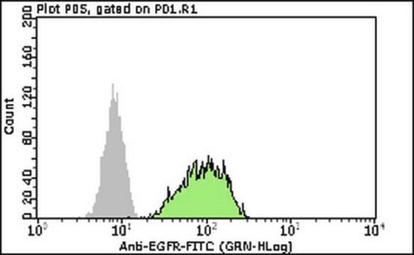 Milli-Mark&#174; Anti-EGFR-FITC Antibody Milli-Mark&#174;, from rabbit