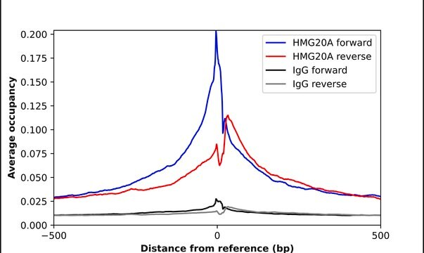 Anti-HMG20A antibody produced in rabbit Prestige Antibodies&#174; Powered by Atlas Antibodies, affinity isolated antibody, buffered aqueous glycerol solution