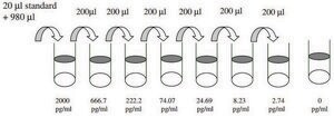 Mouse IGF-I ELISA Kit for serum, plasma and cell culture supernatant