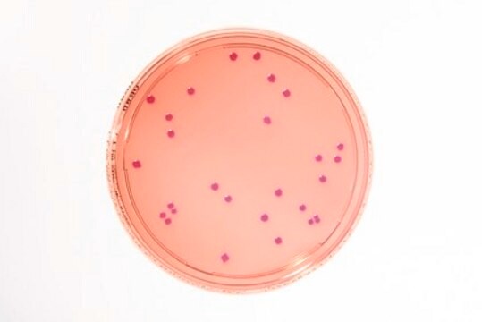 HEIMPLATE Violet Red Bile Dextrose Agar Settle plate Heimplate, APHA, ISO 21528, USP, JP, plate diam. × filling volume 90&#160;mm × 30&#160;mL/ft