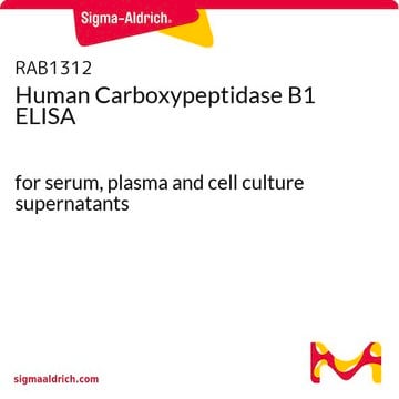 Human Carboxypeptidase&nbsp;B1 ELISA for serum, plasma and cell culture supernatants