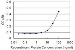 Monoclonal Anti-GLRA1 antibody produced in mouse clone 2E6, purified immunoglobulin, buffered aqueous solution