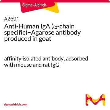 Anti-Human IgA (&#945;-chain specific)&#8722;Agarose antibody produced in goat affinity isolated antibody, adsorbed with mouse and rat IgG