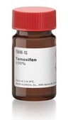Tamoxifen &#8805;99%