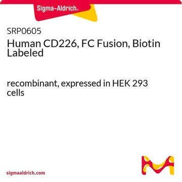 Human CD226, FC Fusion, Biotin Labeled recombinant, expressed in HEK 293 cells