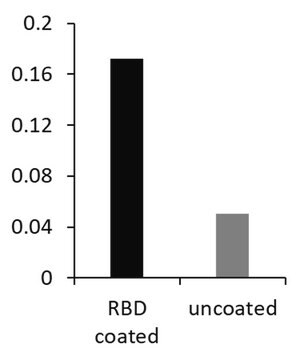 Alpaca Anti-SARS-CoV-2 spike RBD, recombinant single domain Antibody Recombinant Alpaca(VHH) Nano antibody