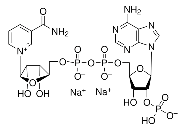 &#946;-Nicotinamide adenine dinucleotide phosphate disodium salt &#8805;97% (calc. based on dry substance, enzymatic)