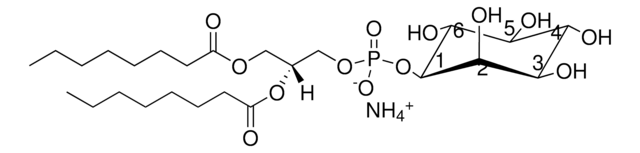 08:0 PI 1,2-dioctanoyl-sn-glycero-3-phospho-(1&#8242;-myo-inositol) (ammonium salt), powder