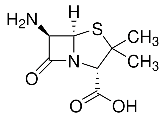 (+)-6-Aminopenicillanic acid reference material