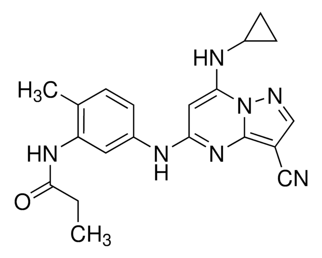 SGC-CK2-1 &#8805;98% (HPLC)