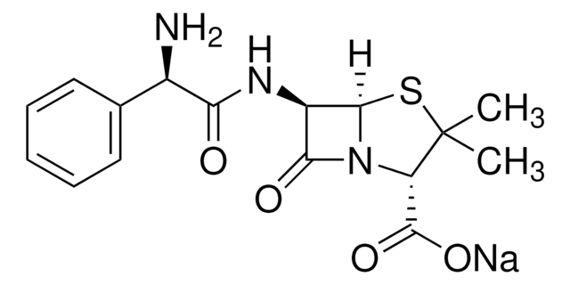 Ampicillin sodium salt BioXtra, suitable for cell culture