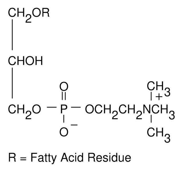 Lysophosphatidylcholine from egg yolk European Pharmacopoeia (EP) Reference Standard