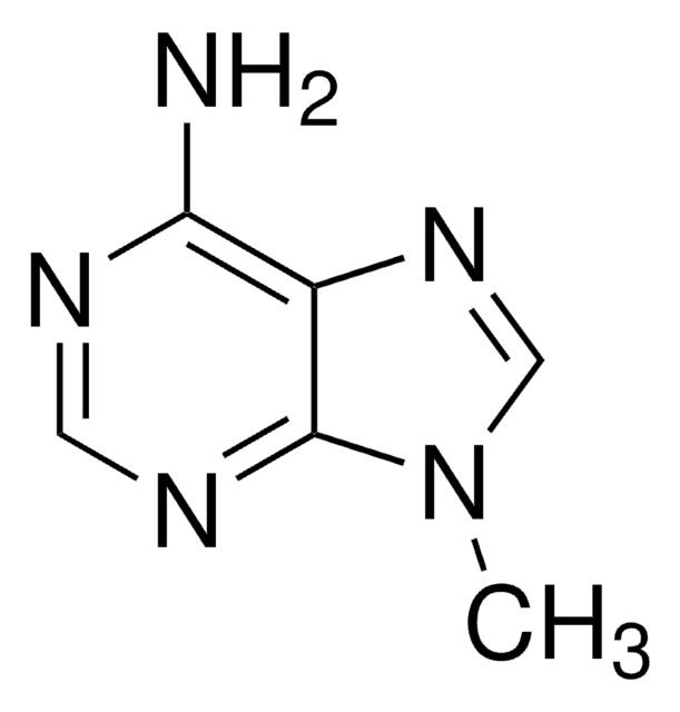 9-Methyladenine 97%