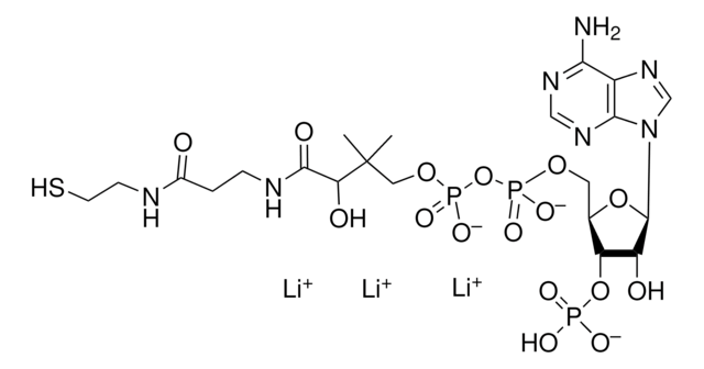 Coenzyme A, Trilithium Salt Coenzyme A, Trilithium Salt, CAS 18439-24-2, serves as a cofactor in enzymatic acetyl transfer reactions.