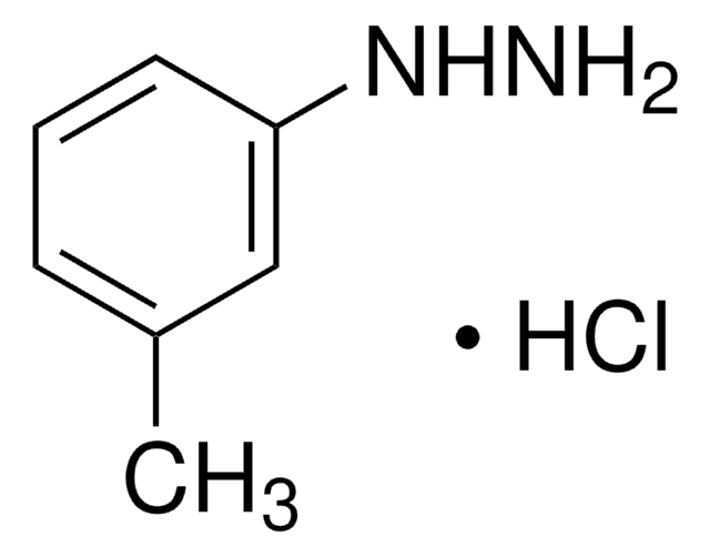 m-Tolylhydrazine hydrochloride 99%