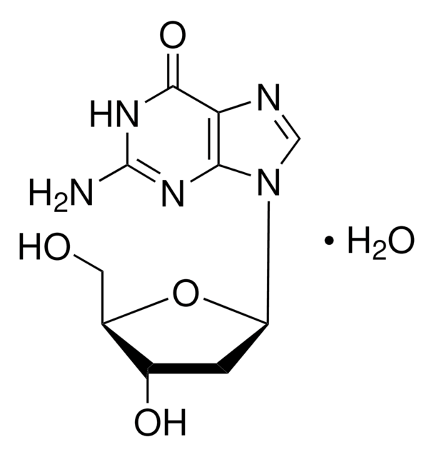 2&#8242;-Deoxyguanosine hydrate 99%