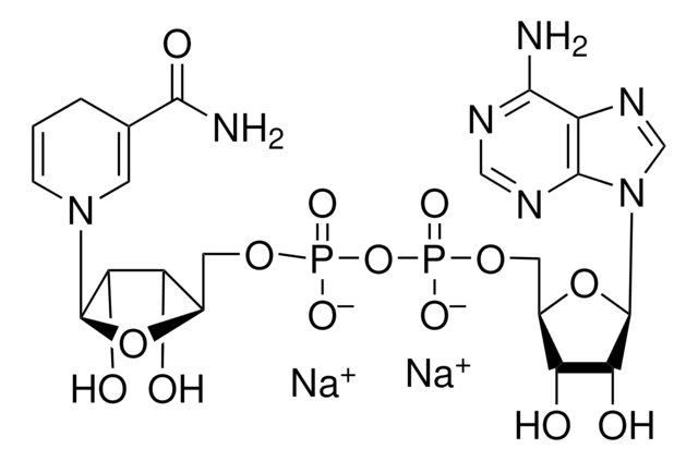 &#946;-Nicotinamide adenine dinucleotide, reduced disodium salt ~98%, pkg of 2&#160;mg (per vial)