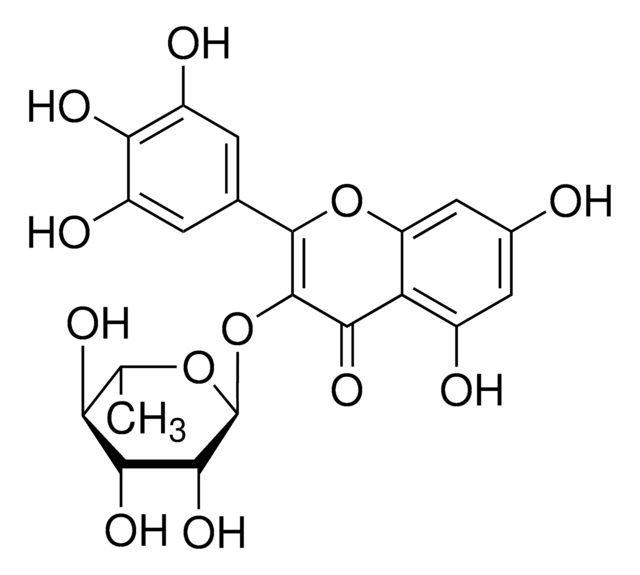 Myricitrin analytical standard