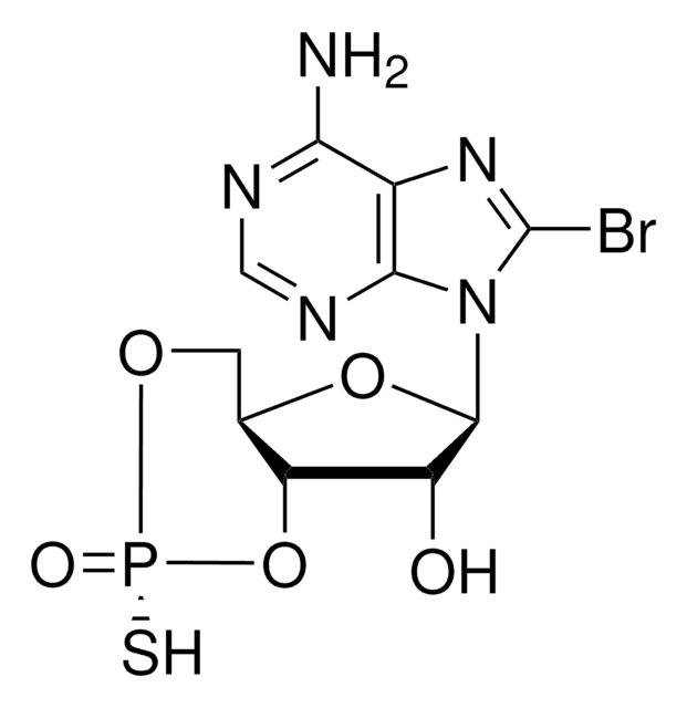 8-Bromo-2&#8242;-monobutyryladenosine-3&#8242;,5&#8242;-cyclic monophosphorothioate, Rp-isomer &gt;97% (HPLC), solid