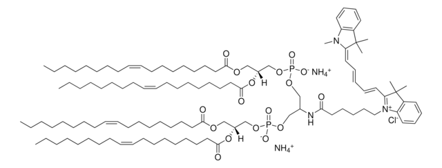 18:1 Cy5 Cardiolipin Avanti Research&#8482; - A Croda Brand