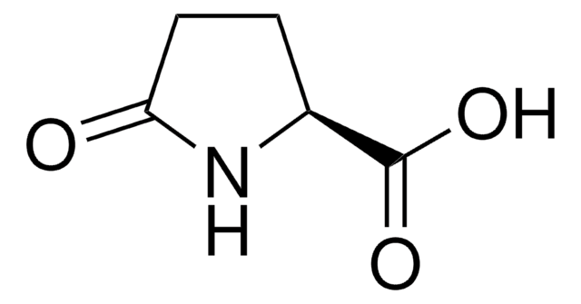 Pyroglutamic Acid United States Pharmacopeia (USP) Reference Standard