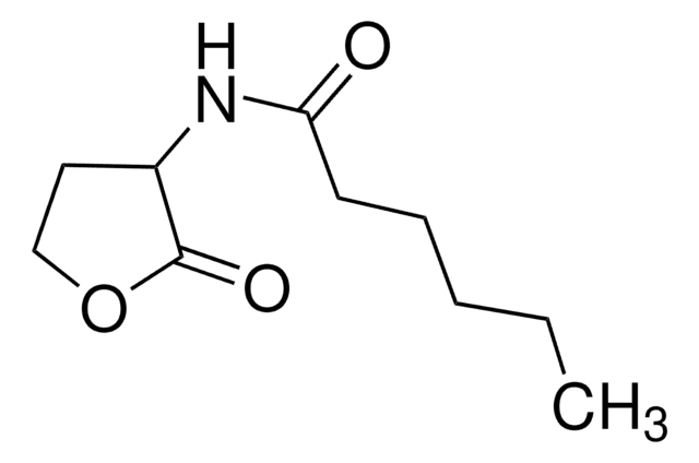 N-Hexanoyl-DL-homoserine lactone &#8805;97.0% (HPLC)