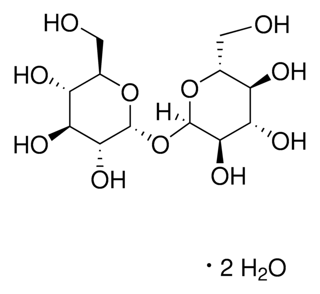 Trehalose, Dihydrate Non-reducing disaccharide which yields 2 moles of D-glucose upon acid hydrolysis. Inhibits polyglutamine-mediated protein aggregation both in vivo and in vitro.