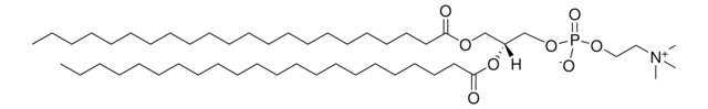 22:0 PC 1,2-dibehenoyl-sn-glycero-3-phosphocholine, chloroform